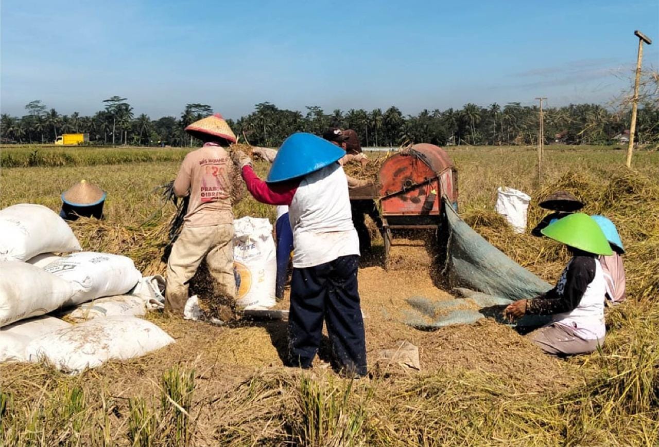 BAZNAS_dan_Peran_Penting_dalam_Meningkatkan_Kesejahteraan_Petani_di_Purbalingga_(Dok__BAZNAS).jpeg