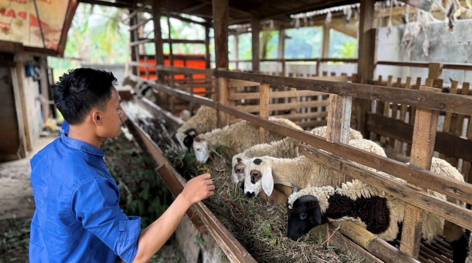 Foto_Dok__Dtpeduli_org9.jpg